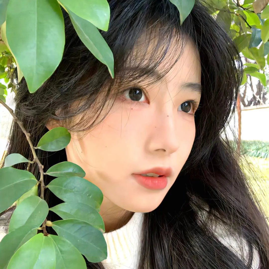女皇封面